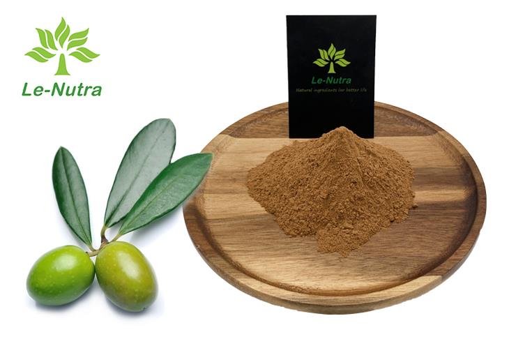 Olive Leaf Extract Powder